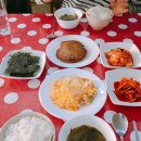 코코민박 이미지