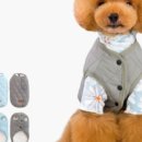 코코앤그레이 이미지