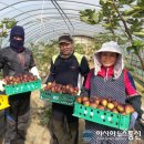 박진수농장 이미지