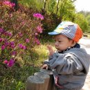 예닮어린이집 이미지