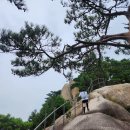 회룡사 - 1121 | 망월사 포대능선 찍고 사패산 정상 찍고 회룡사, 산행 4시간 리얼 후기 :)