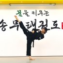 한국체대 송무 태권도장 이미지