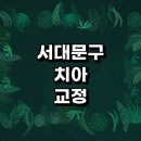 서울 서대문구 치아교정 잘하는 전문치과 병원 추천 | 비용 후기 설측교정 돌출입 앞니 투명 무턱 부분...