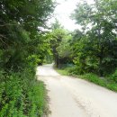 치악산둘레길 4코스 노구소길 이미지