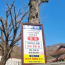 장충일번지 돼지꿈 | 삼재예방 석모도 가볼만한곳 강화보문사 방문후기