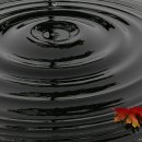 시대무도장 이미지