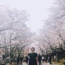 하하호호 미술관 이미지
