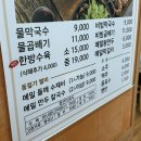 북면309 | 충북 진천 가볼만한곳 농다리, 출렁다리 미르309, 맛집까지