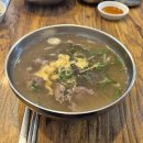 기운센 갈비탕 | 금련산 점심으로 추천하는 고집센그집갈비탕