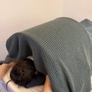 스완드 | 마곡 발산역 신부관리 스완드 마곡점에서 승모 어깨 근막관리 후기