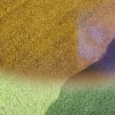 아인안경원 이미지