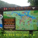 대장금마실길(1코스) 이미지