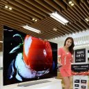 글로벌TV 이미지