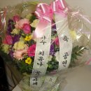 용인정신병원 이미지