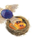 (주)씨앤씨네트웍스 이미지