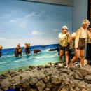 해녀박물관 이미지