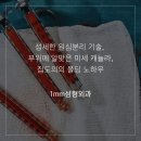 일미리성형외과의원 이미지