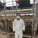 옥천축산 이미지