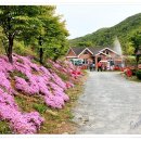 해물풍경 이미지