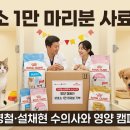 남부여 보호소 동물병원 | 로얄캐닌 김명철·설채현 캠페인, 보호소 1만 마리분 사료 기부
