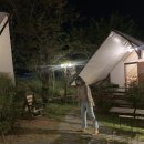아델리아 캠핑장 | 2019 경주 gyeongju