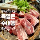 육일농장 | 수내동 맛집 육일돈 미친 가성비와 퀄리티 인생 고기집 발견