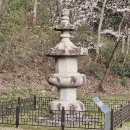 [정용식의 사찰 기행] “보배로 이뤄진 숲속 사찰”…선종 본찰 ‘조계종 최초’ 장흥 보림사 이미지