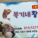 복기애견