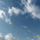 여울목식당 이미지