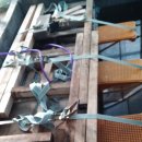 송화농장2 이미지