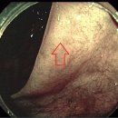 고운속내과의원 이미지