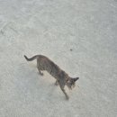 이마트24 사천남일대해수욕장 이미지