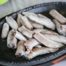 해변짚불곰장어 이미지