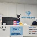 다이아의원 | [병원후기] 송파다이아튼튼의원 :: 놀라운 가격의 독감 4가 백신 접종 후기 (ft. 일반 정보, 주차, 가격...