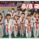 용인대정진태권도장 이미지