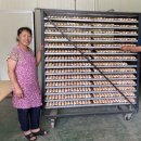 우슬재황토촌 이미지