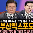 부산엑스포도 특검한다 이미지