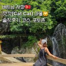 [베트남준비]베트남 사파 가볼만한곳: 깟깟마을🐱(Cat Cat Village) 후기 (포토존, 루트/코스 추천)
