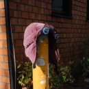 그레이트풀라이프 이미지