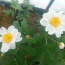 김종군농장 이미지