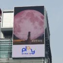 ㈜현대관광 이미지