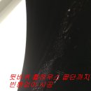 아이나비군산대리점 이미지