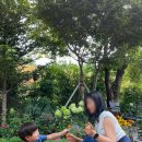 고궁 또는 한옥마을 카페 방문 시 드레시한 생활한복 추천