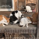 그루밍선데이 이미지