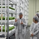 제일농장1 이미지