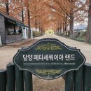 메타길2(영화촬영장) | 우리나라에서 가장 아름다운 메타세쿼이아 가로수길 속에 가을을 노래함 그리고 산타축제도해욤