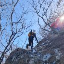 늑대와 여우 이미지