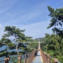 울산박물관 옥내 화장실 | [아기랑 울산여행] 내돈내산 여행 1박 2일 (출렁다리, 일산해수욕장, 고래박물관, 자수정동굴)