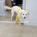 음성동물병원 이미지