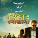 호반장 | 미드 추천 수사 추리 &lt;CSI 마이애미&gt; 소개, 줄거리, 후기